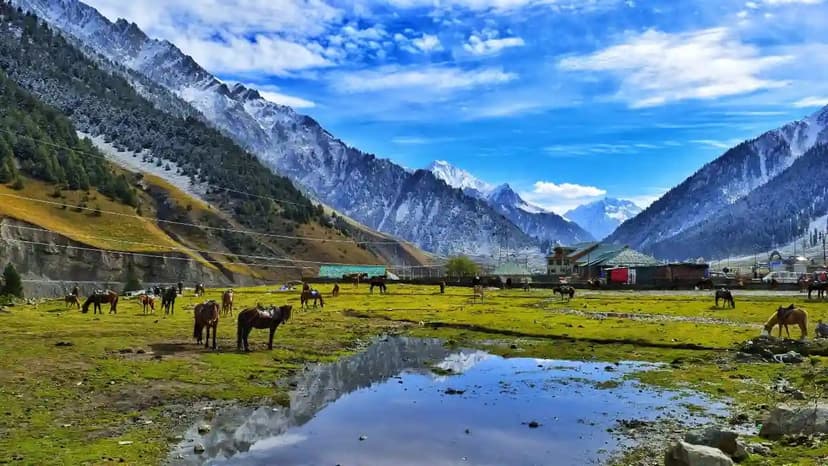Heaven of Srinagar Holiday - 3