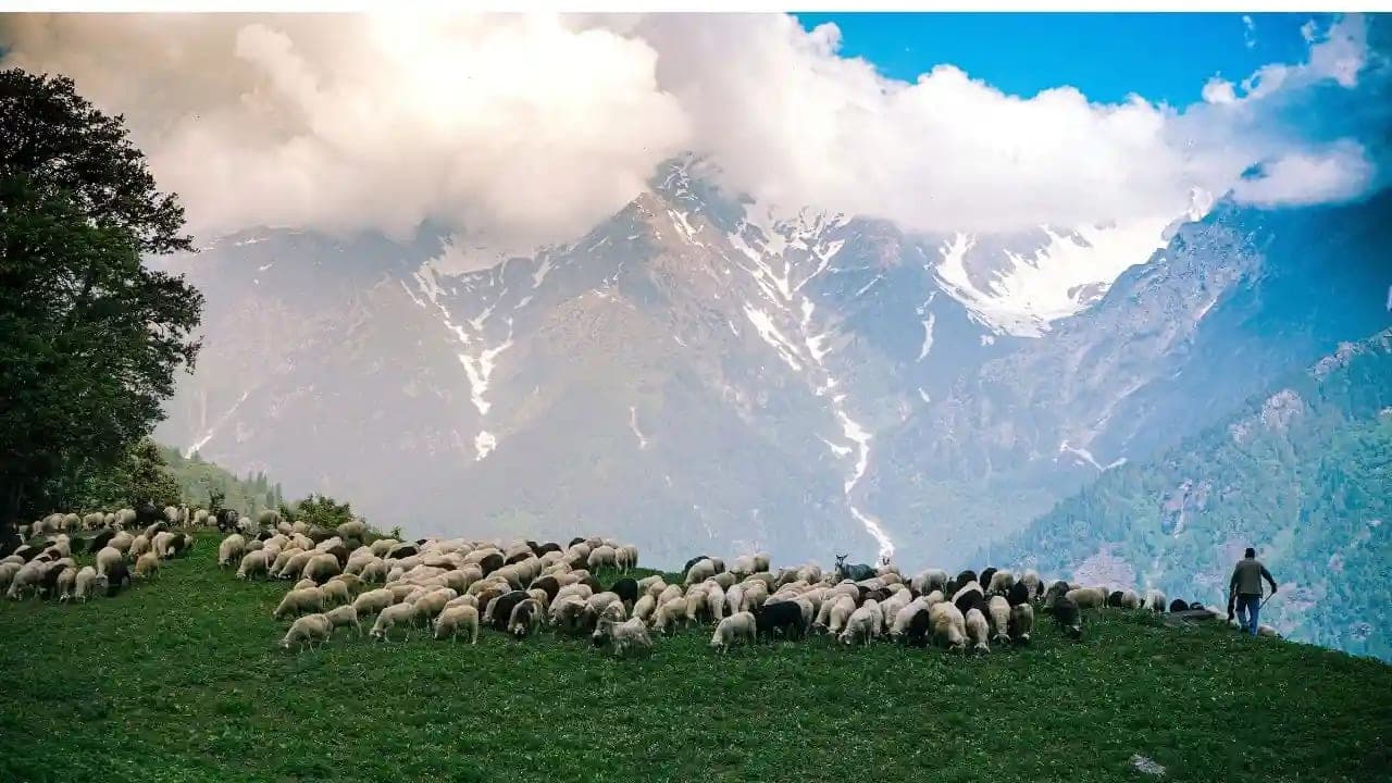 Exclusive Srinagar Holiday - Main