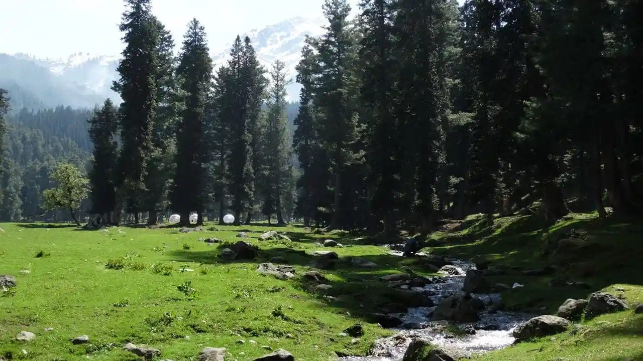 Scenic Srinagar Package 4N 5D