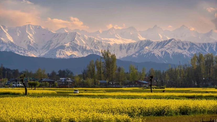 Glorious Srinagar Holiday - 3