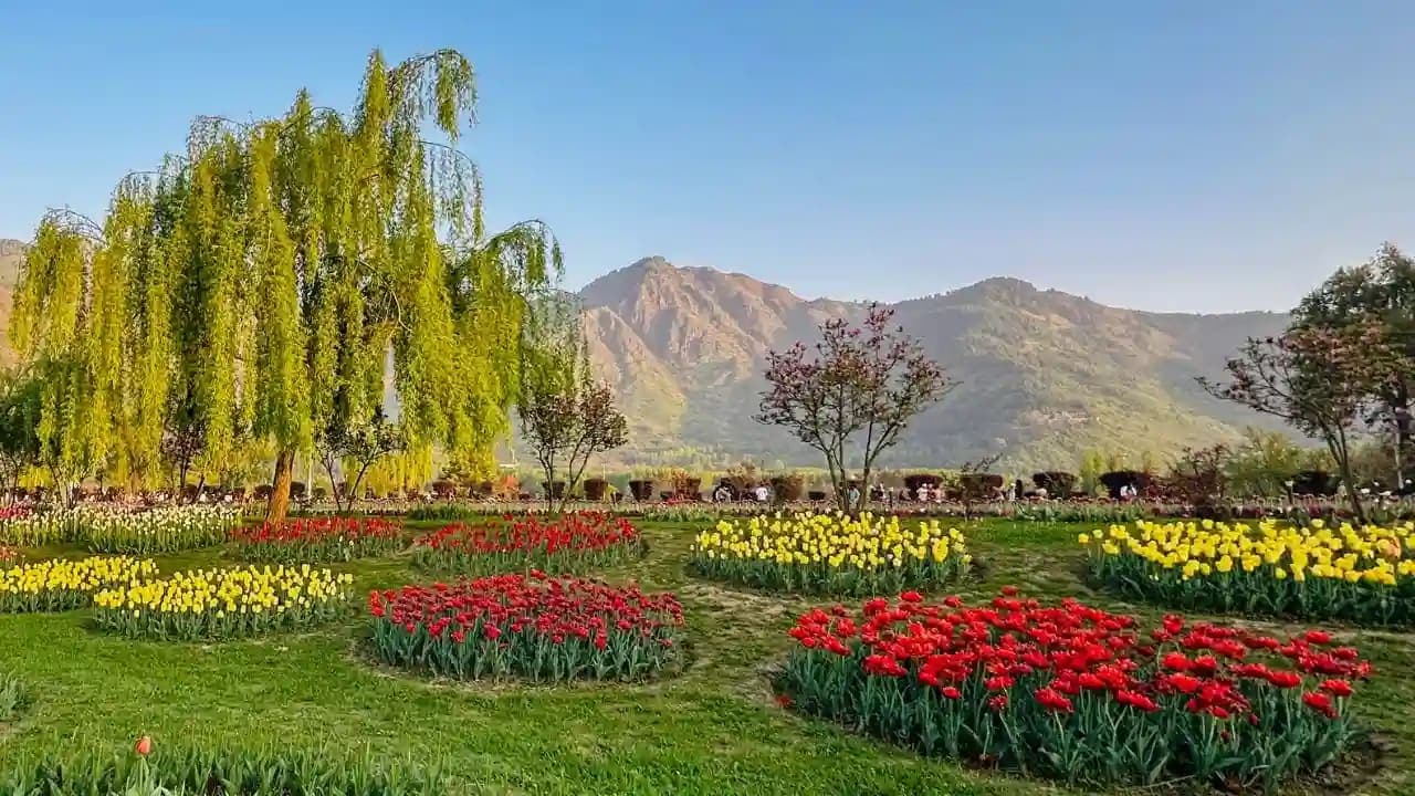 Kashmir Honeymoon Package From Delhi