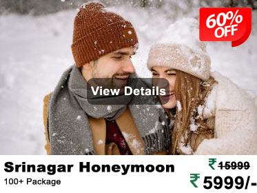 Srinagar-Honeymoon.jpg