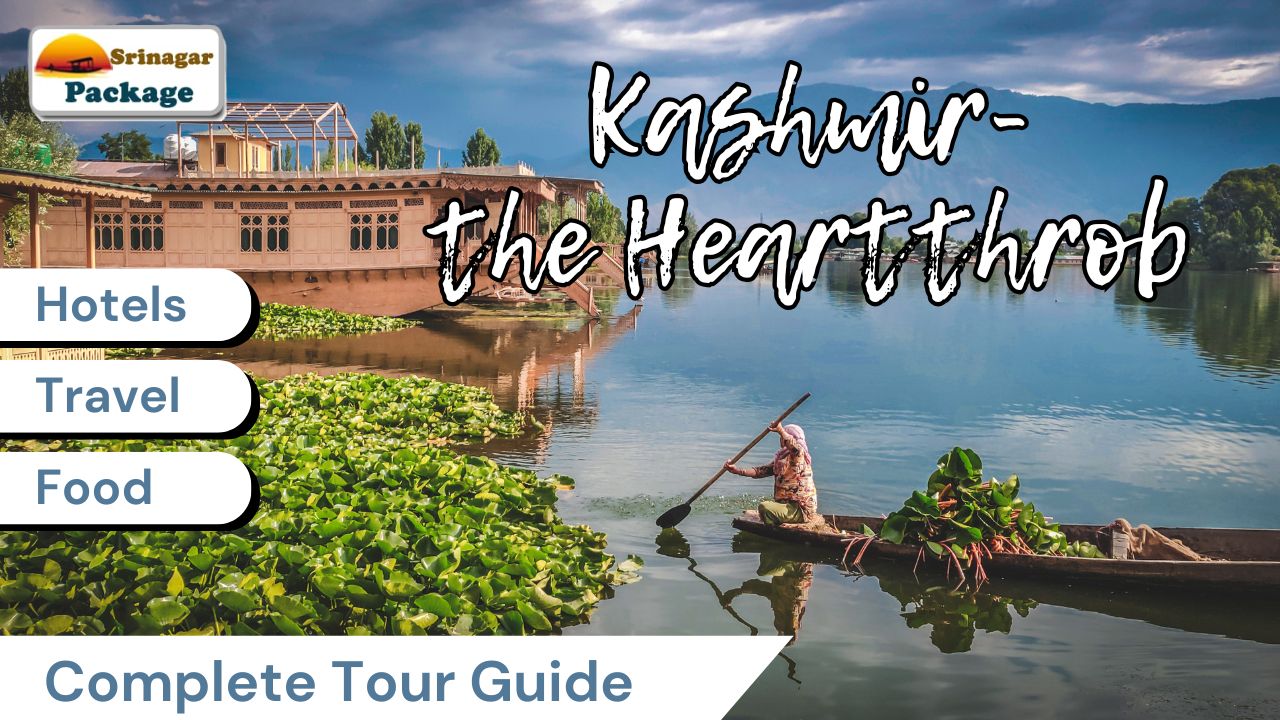 Blue_and_White_Kashmir_Travel_Vlog_YouTube_Thumbnail_(1).jpg