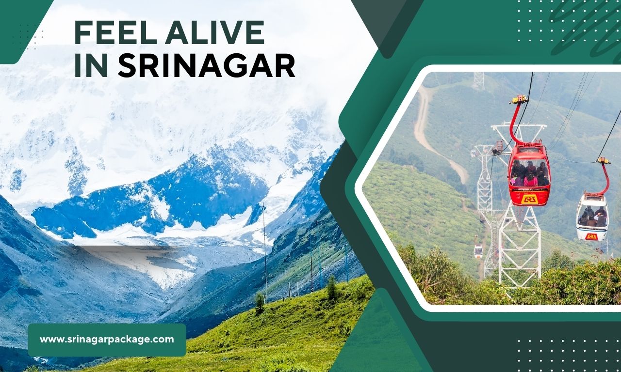 Feel_Alive_in_Srinagar.jpg