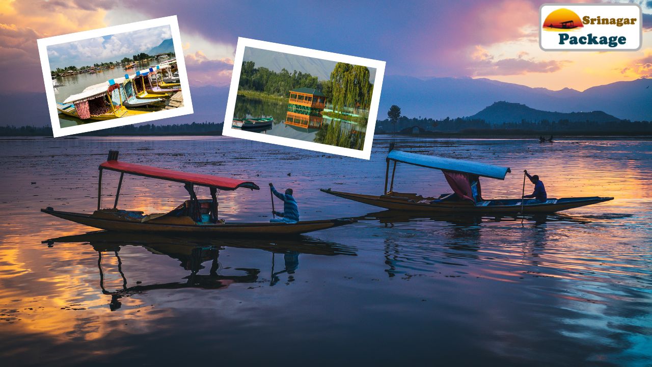 Yellow_and_Green_Modern_Clean_Travel_YouTube_Thumbnail.jpg