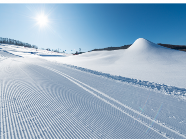 Alpine_Bliss.png
