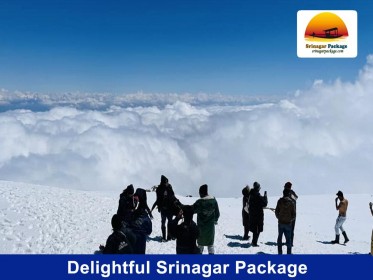 Delightful-Srinagar-Package.jpg