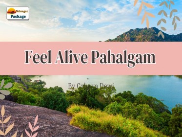 Feel_Alive_Pahalgam.jpg