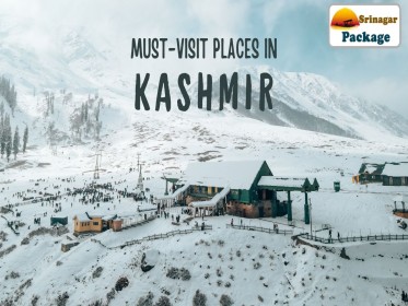 Grey_Modern_Srinagar_Travel_YouTube_Thumbnail.jpg