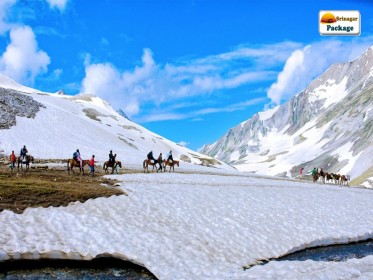 Kashmir_Meadows_Retreat.jpg