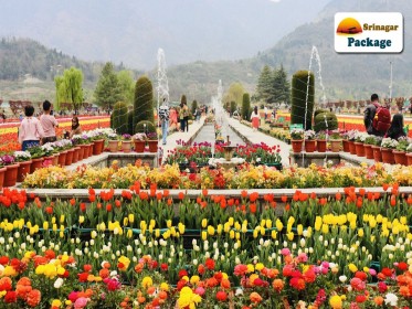 Populars-Srinagar-Package.jpg